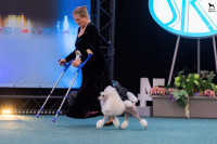 /album/mvp-bratislava-2025/mvp-bratislava-20251025-jutta-006-a-ja-jpg1/